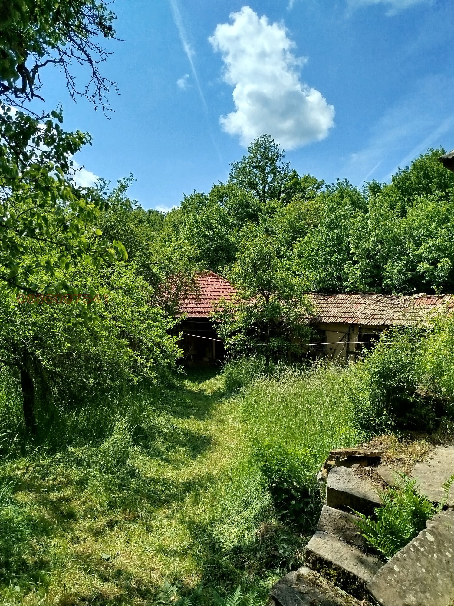 Продава КЪЩА, с. Даевци, област Габрово, снимка 2 - Къщи - 54550233
