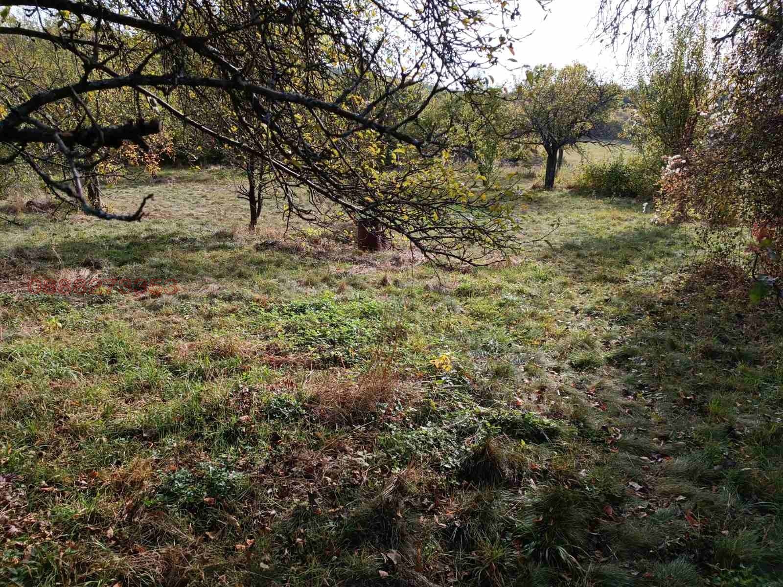 Продава  Парцел област Перник , с. Горни Романци , 1600 кв.м | 28166432