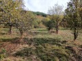 Продава ПАРЦЕЛ, област Перник, с. Горни Романци • 22000 € / 43028.26 лв. • 45286192 2