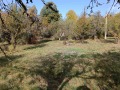 Продава ПАРЦЕЛ, област Перник, с. Горни Романци • 22000 € / 43028.26 лв. • 45286192 4