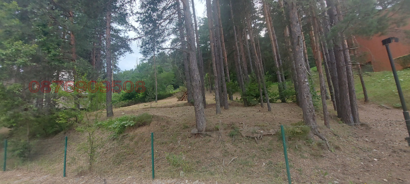 Продава ПАРЦЕЛ в област Пазарджик, яз. Батак - 800 кв.м / 77 000 € » 150 598.91 лв.