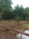 Продава  Парцел област Перник , с. Селищен дол , 700 кв.м | 10296717 - изображение [2]