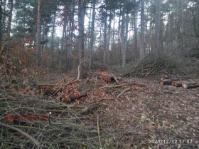 ������� ������ | Imot.bg � ����� ������ 2