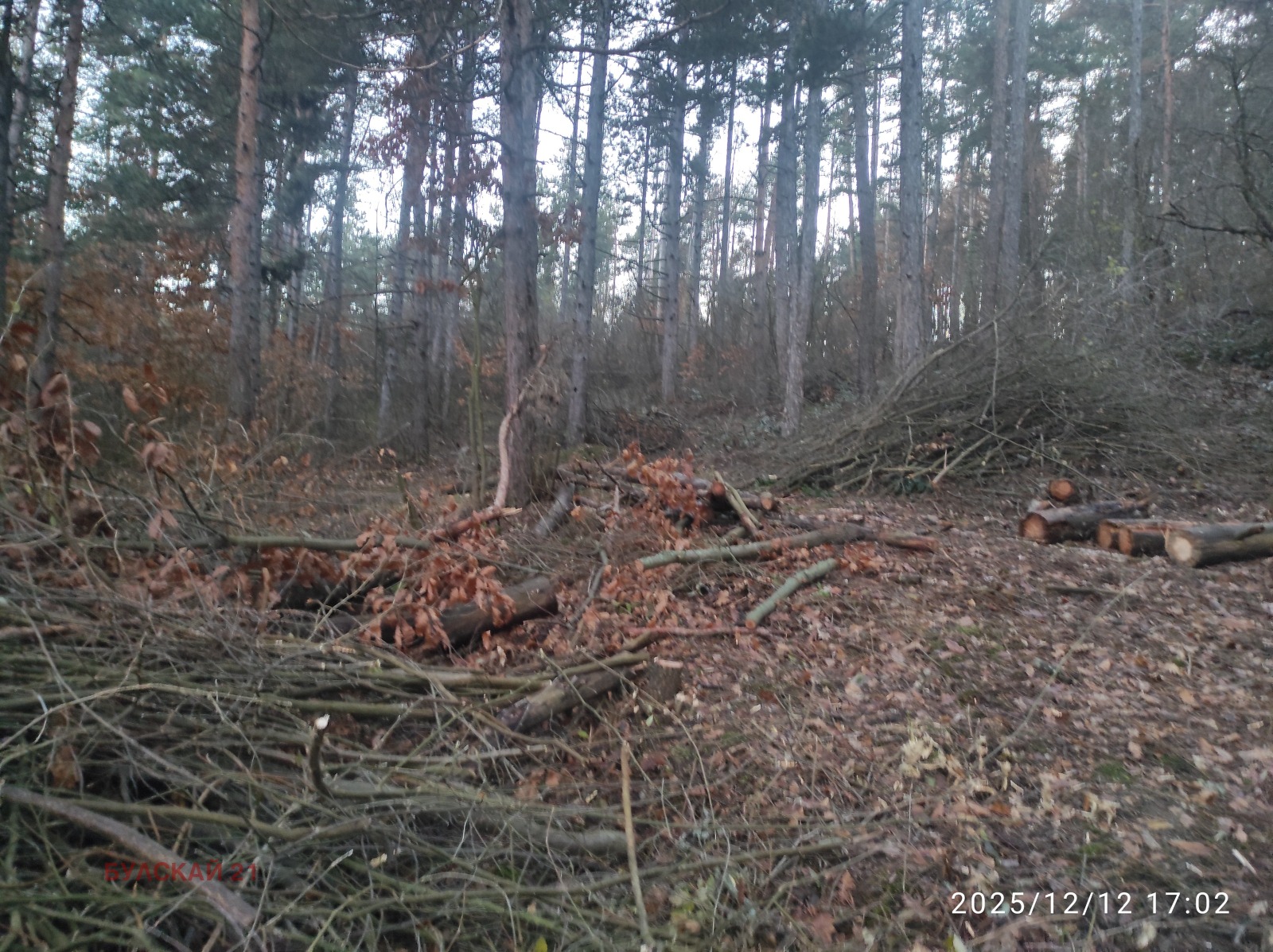 Продава ПАРЦЕЛ, гр. София, м-т Щъркелово гнездо, снимка 2 - Парцели - 50629594