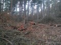 Продава ПАРЦЕЛ, гр. София, м-т Щъркелово гнездо, снимка 2