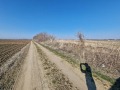 Продава ПАРЦЕЛ, град Пловдив, Прослав • 138000 € • 19956975 — Holmes.bg