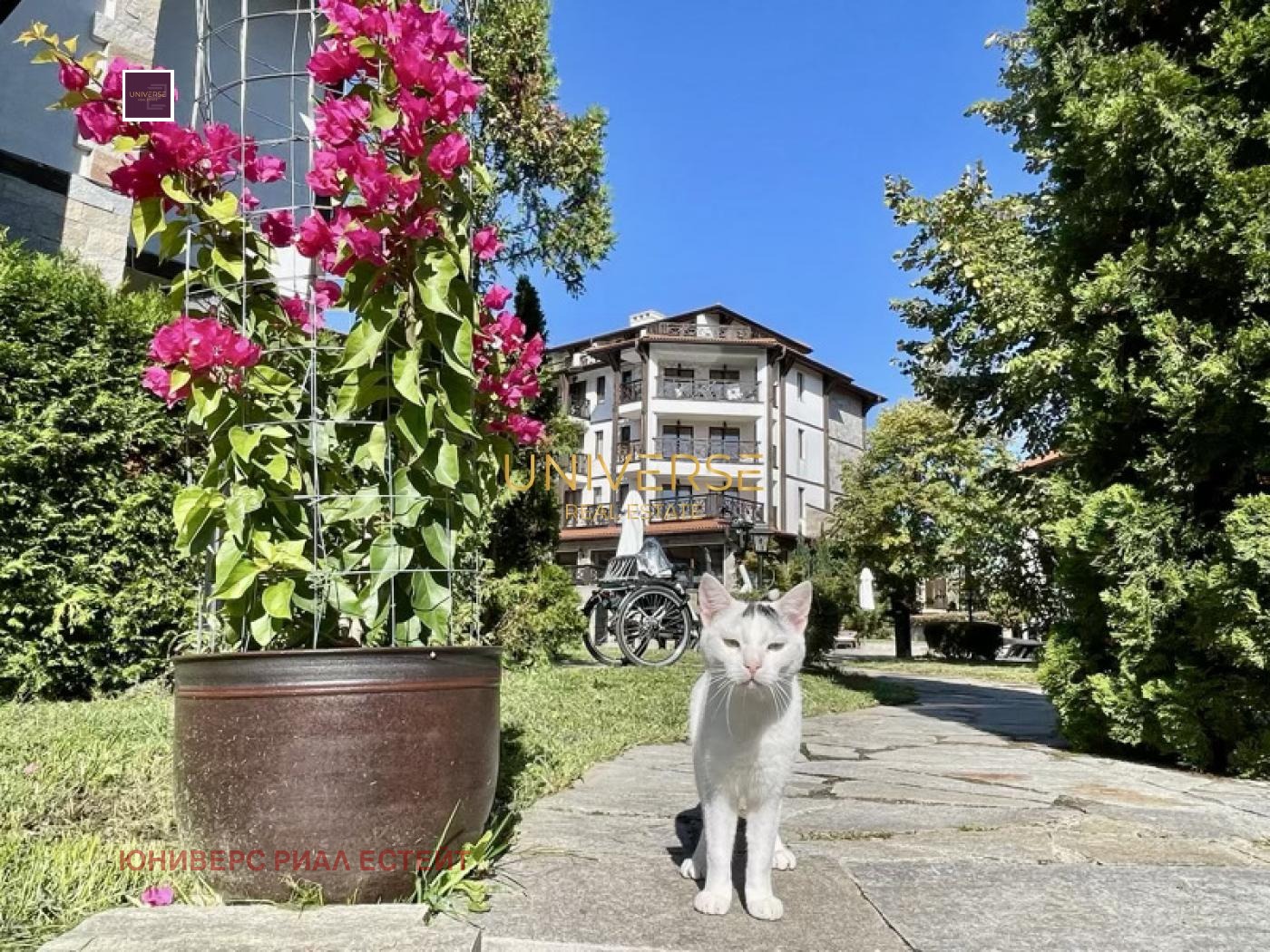 ������� 1-����� | Imot.bg � ����������� 17