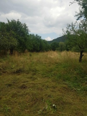   | Imot.bg    6