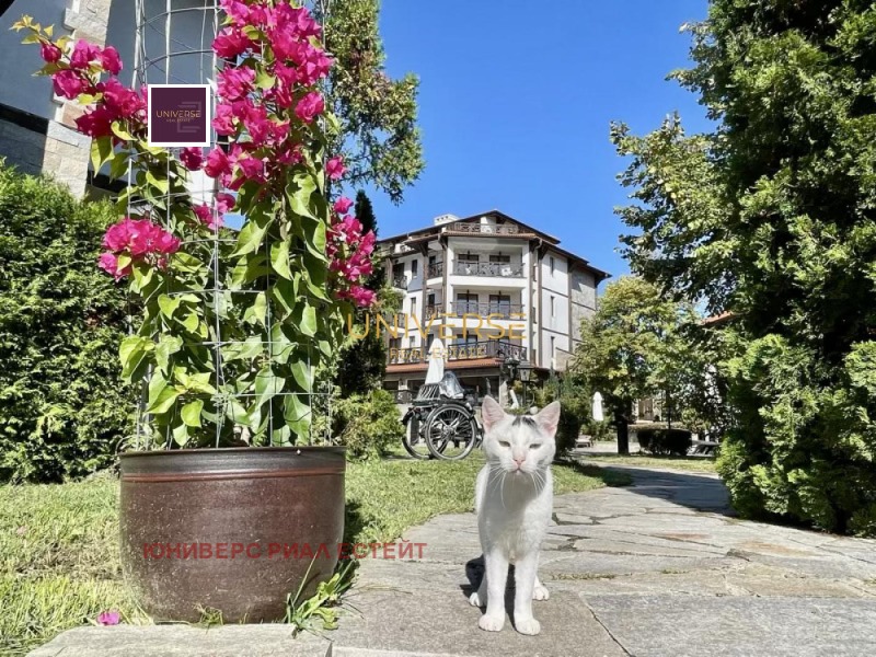 Продава 1-СТАЕН, к.к. Слънчев бряг, област Бургас, снимка 16 - Апартаменти - 52888563