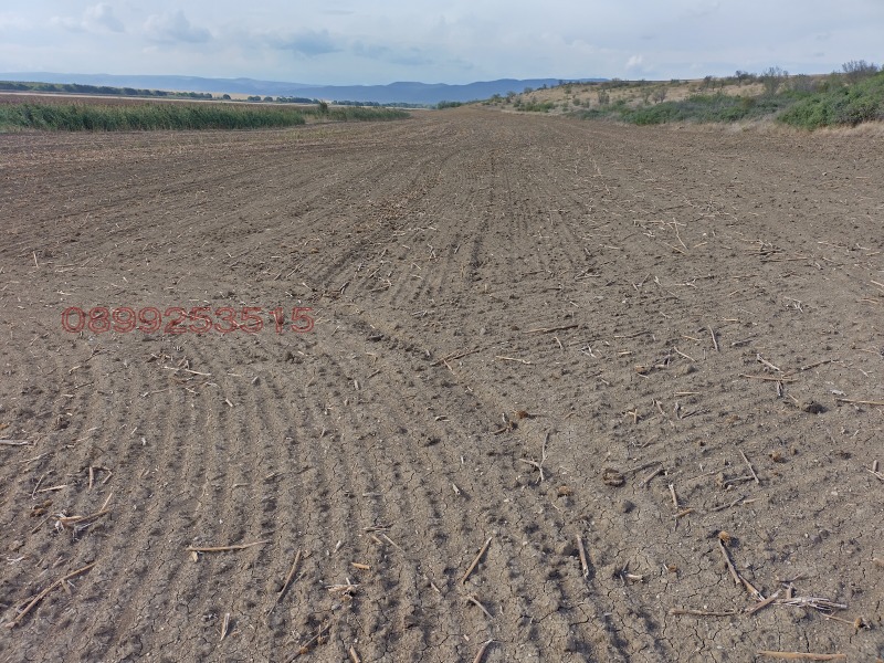 Продава ЗЕМЕДЕЛСКА ЗЕМЯ, с. Тънково, област Бургас