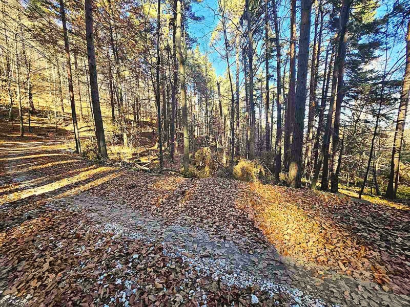 Продава ЗЕМЕДЕЛСКА ЗЕМЯ, с. Бойково, област Пловдив, снимка 5 - Земеделска земя - 52449630