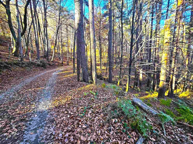 Продава ЗЕМЕДЕЛСКА ЗЕМЯ, с. Бойково, област Пловдив