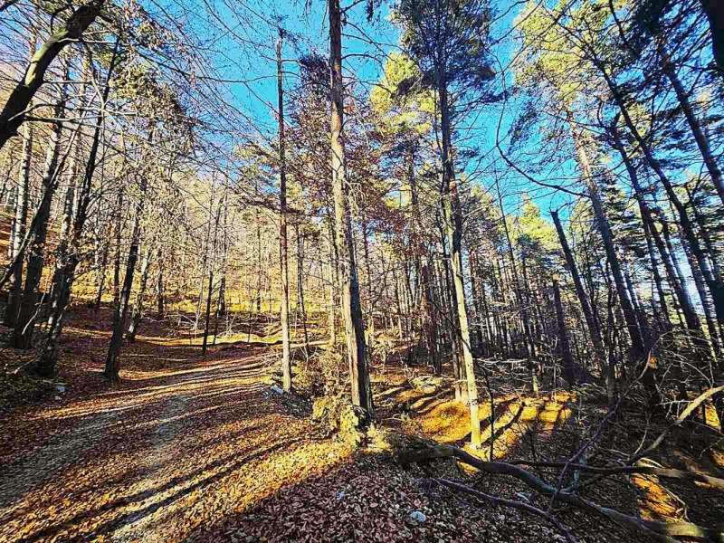 Продава ЗЕМЕДЕЛСКА ЗЕМЯ, с. Бойково, област Пловдив, снимка 3 - Земеделска земя - 52449630