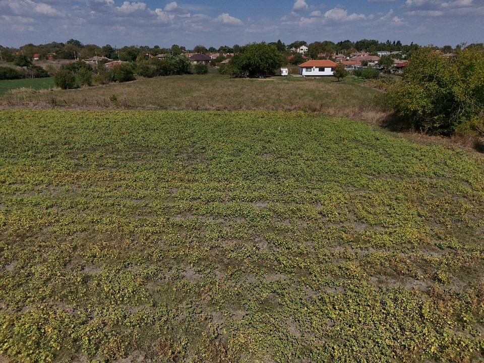 Продава ПАРЦЕЛ, с. Соколово, област Добрич, снимка 5 - Парцели - 56163887