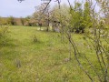 Продава ПАРЦЕЛ, с. Кичево, област Варна, снимка 4