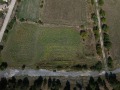 Продава ПАРЦЕЛ, с. Соколово, област Добрич, снимка 1