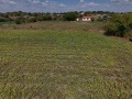 Продава ПАРЦЕЛ, с. Соколово, област Добрич, снимка 5