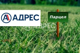 ����� ������� ������,�. ������, ������ �����