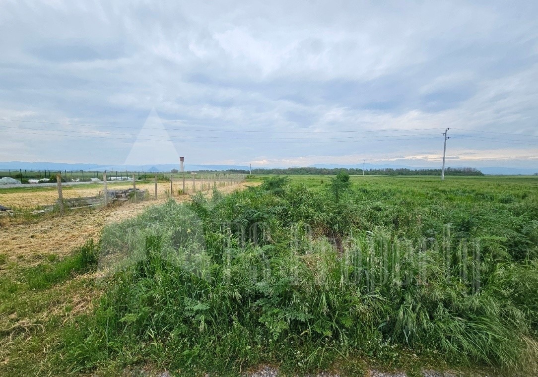 Продава ПАРЦЕЛ, с. Преславен, област Стара Загора, снимка 4 - Парцели - 54644249