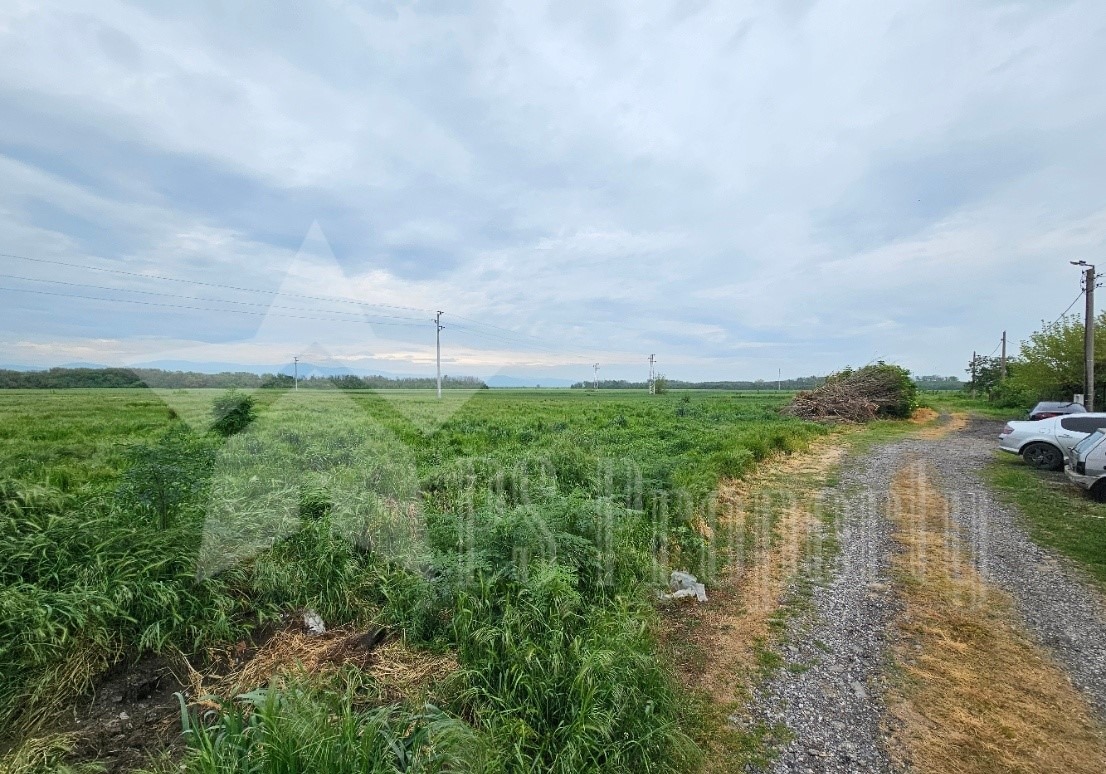 Продава ПАРЦЕЛ, с. Преславен, област Стара Загора, снимка 3 - Парцели - 54644249
