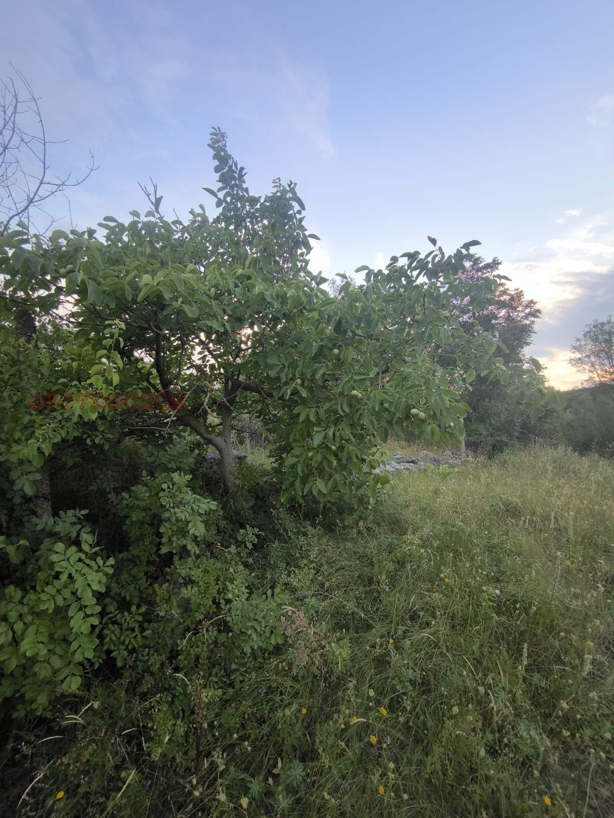 Продава ПАРЦЕЛ, с. Доброглед, област Варна, снимка 10 - Парцели - 55142092