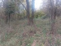 Продава ПАРЦЕЛ, с. Велчево, област Ловеч, снимка 2