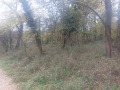 Продава ПАРЦЕЛ, с. Велчево, област Ловеч, снимка 2