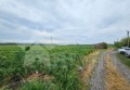 Продава ПАРЦЕЛ, с. Преславен, област Стара Загора, снимка 3