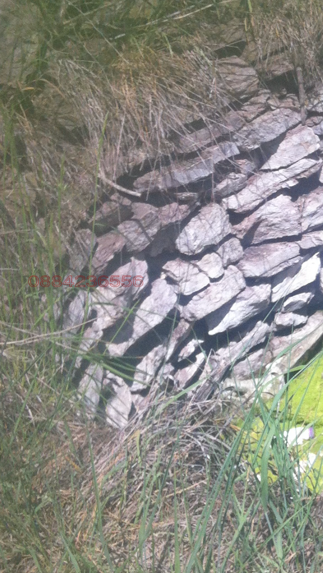 Na prodej  Spiknutí oblast Sofia , Proleša , 5573 m2 | 41864547 - obraz [4]