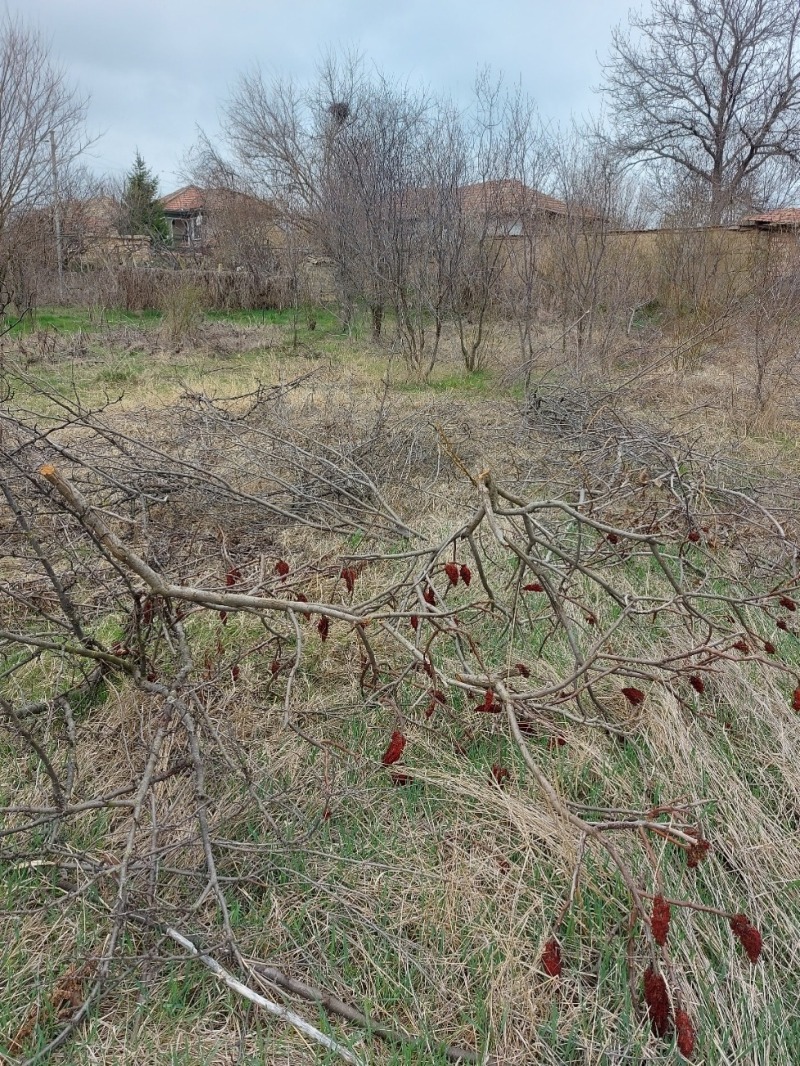 Na sprzedaż  Działka region Wielkie Tyrnowo , Klimentowo , 1000 mkw | 14690539 - obraz [3]