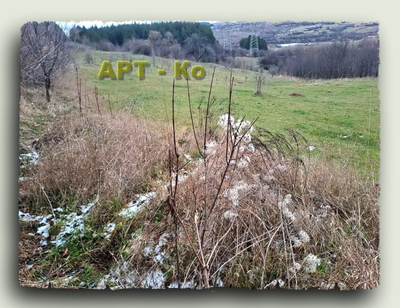 Продава ПАРЦЕЛ, гр. Перник, Бела вода, снимка 5 - Парцели - 53063807