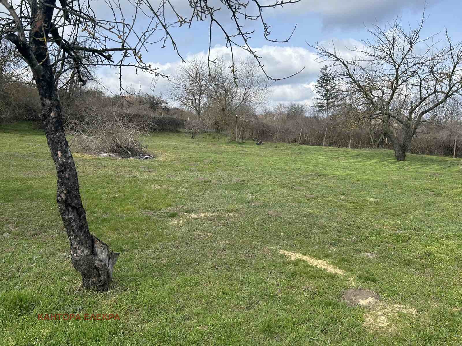 Продава КЪЩА, гр. Провадия, област Варна, снимка 16 - Къщи - 53915981