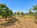 Продава  Къща област Русе , с. Борисово , 140 кв.м | 76151711 - изображение [6]