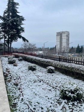 ����� ������� 2-�����,���� �����, ����