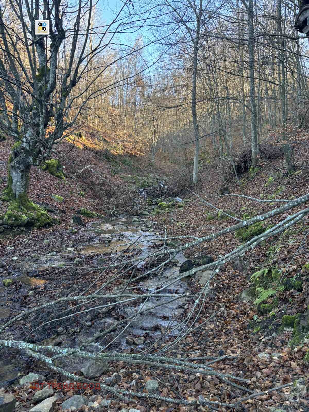 ������� ���� | Imot.bg � ����������� 7