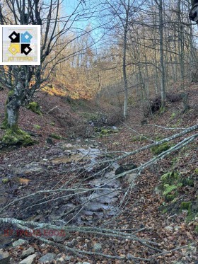 ������� ���� | Imot.bg � ����� ������ 7