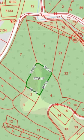 ����� ������� ������,�. ����� ����, ������ �����