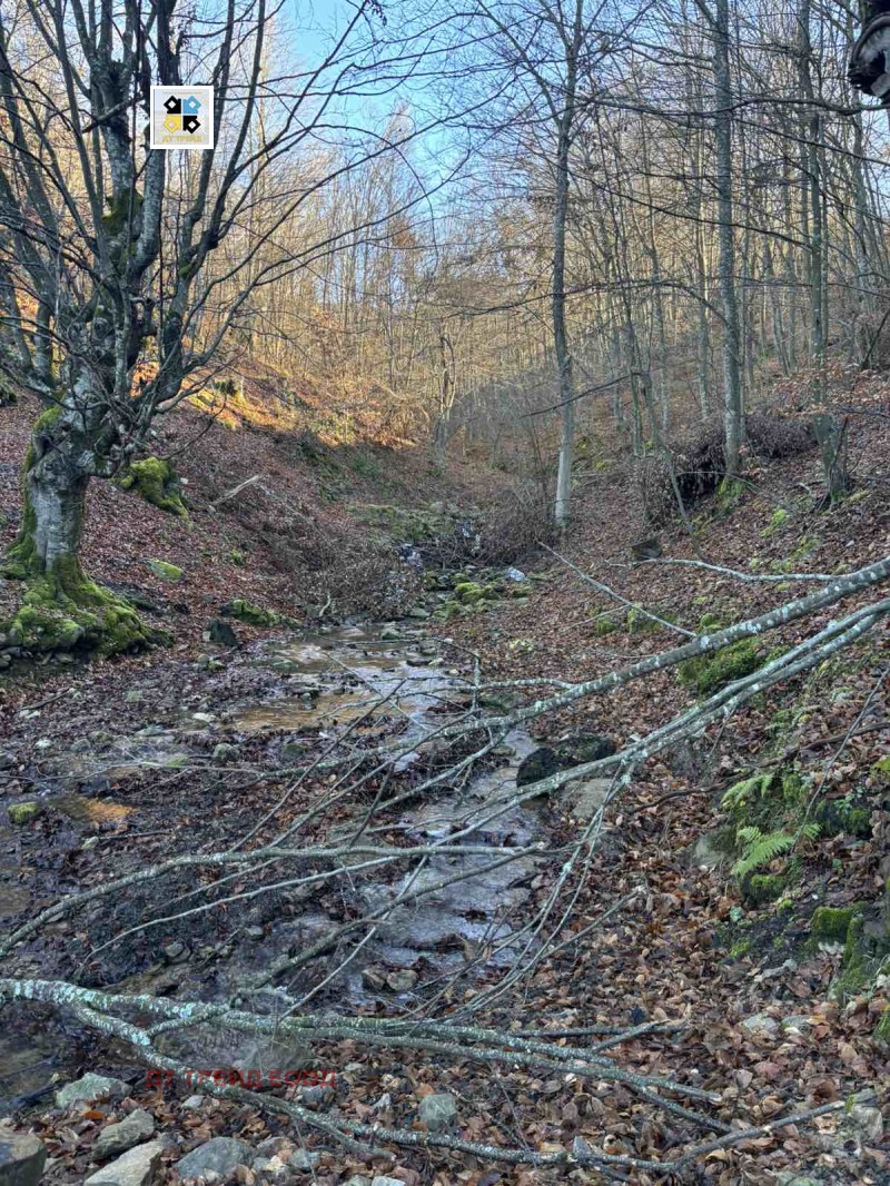 Продава КЪЩА, с. Ямна, област София област, снимка 6 - Къщи - 52871434