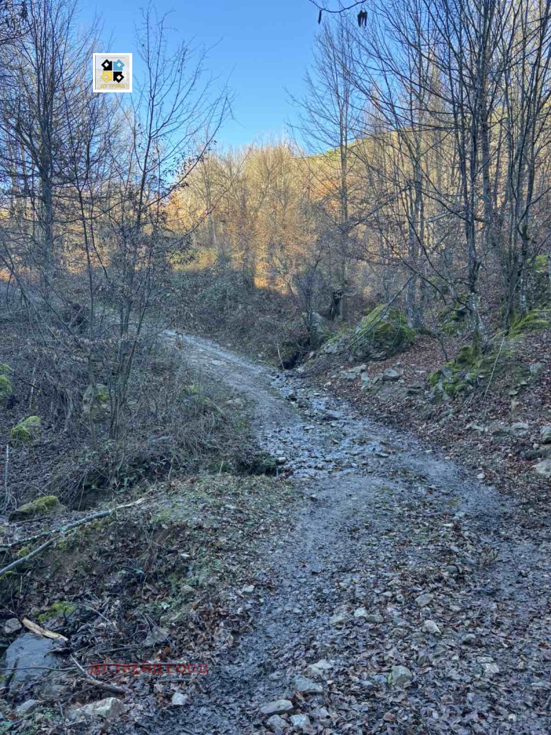 Продава КЪЩА, с. Ямна, област София област, снимка 7 - Къщи - 52871434