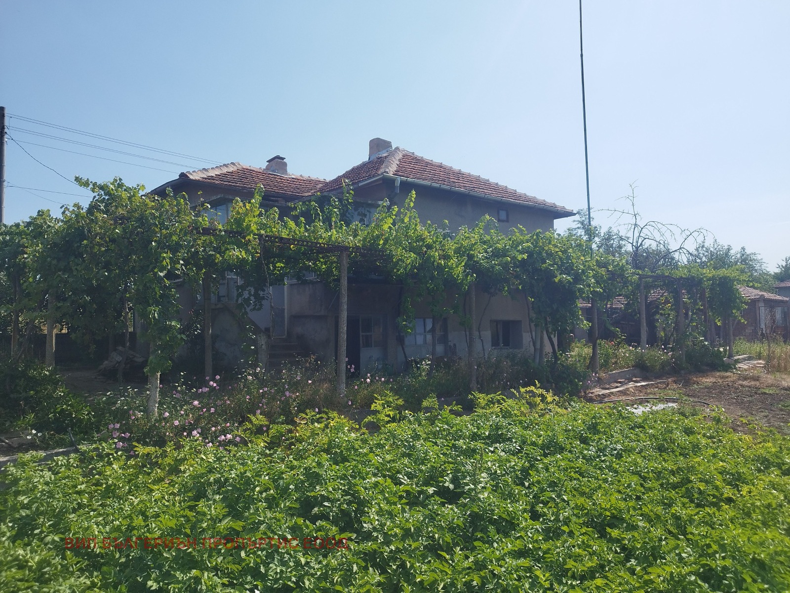 Продава КЪЩА, с. Синапово, област Хасково, снимка 14 - Къщи - 55687966