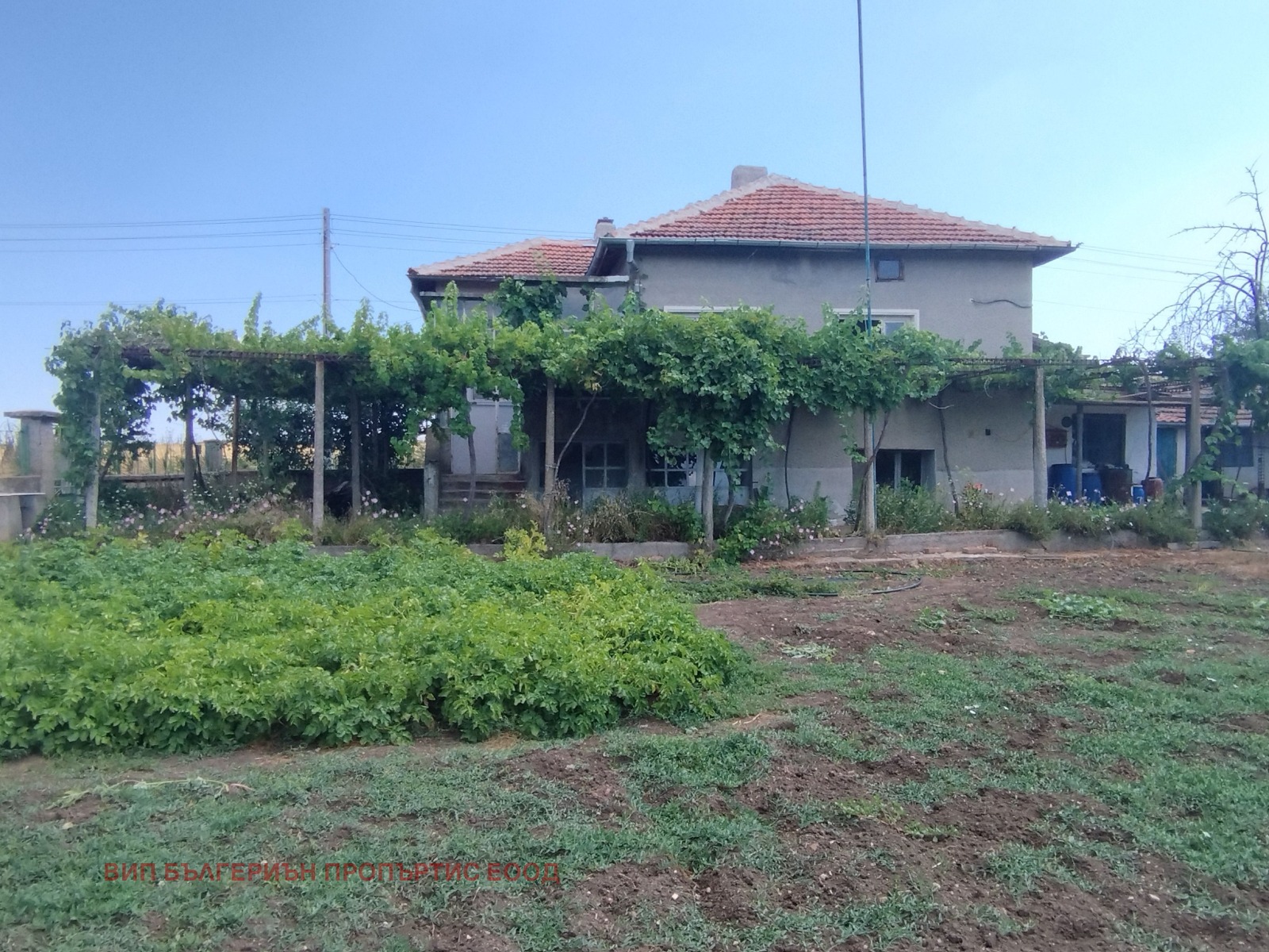 Продава КЪЩА, с. Синапово, област Хасково, снимка 2 - Къщи - 55687966