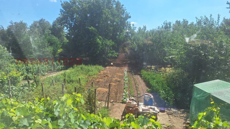 Продава  Къща област Враца , с. Попица , 300 кв.м | 93533356 - изображение [5]