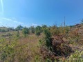 Продава ПАРЦЕЛ, град Варна, м-т Планова • 40000 € • 53941565 — Holmes.bg