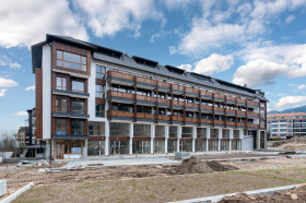 Studie Bansko, region Blagoevgrad 11