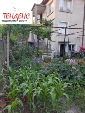 ����� ������� ���� �� ����,���� ��������, ������