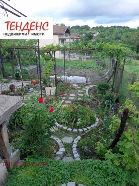 ����� ������� ���� �� ����,���� ��������, ������