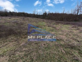 ������ ������� ������