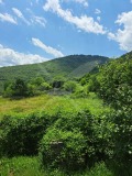 Продава ПАРЦЕЛ, област Пловдив, с. Орешец • 36500 € • 67541897 — Holmes.bg