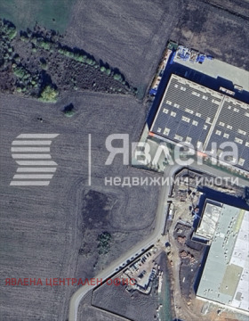 ����� ������� ������,�. ���� ���, ������ �����