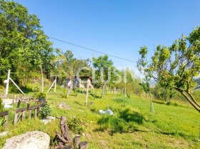 ������� ������ | Imot.bg � ����� ������ 14